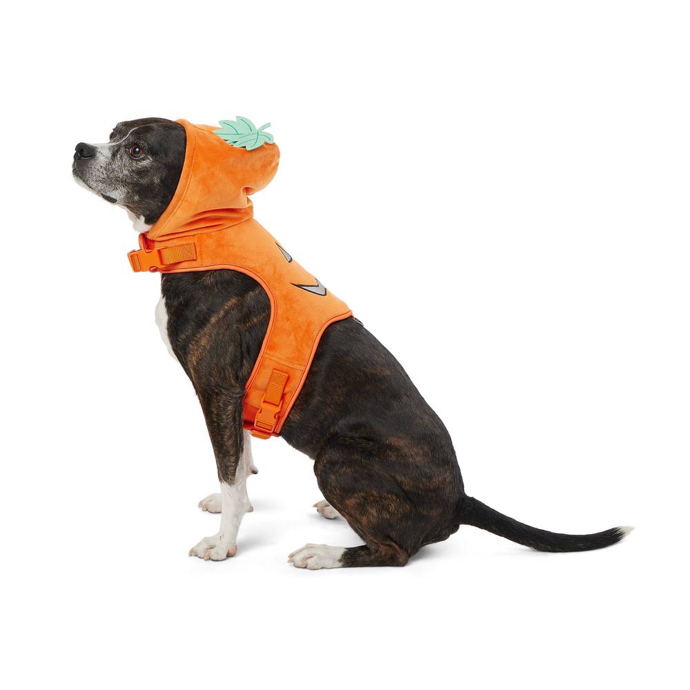 Thrills & Chills Pumpkin Costume Vest and Dog Harness (Color: Orange, Size: Medium)