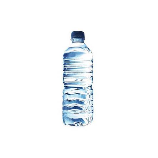 Agua 500 ml PET