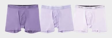 Pair of Thieves Men's Quick Dry Boxer Briefs 3pk - Lavender M: Mid Rise, Knit, Solid Pattern
