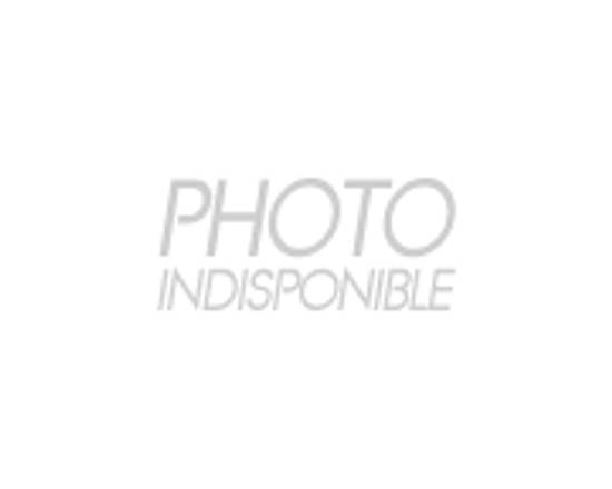 Cellier des Demoiselles - Vin blanc chardonnay igp pays d'oc domestique (750ml)