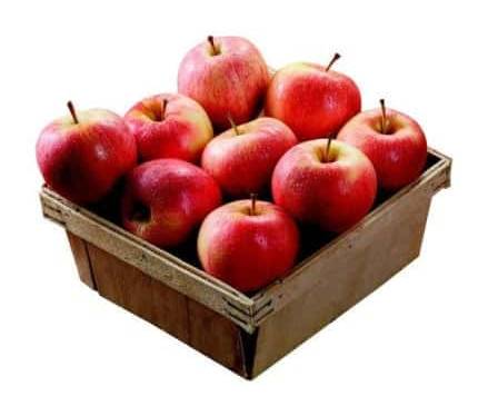 Pommes pink lady (6)