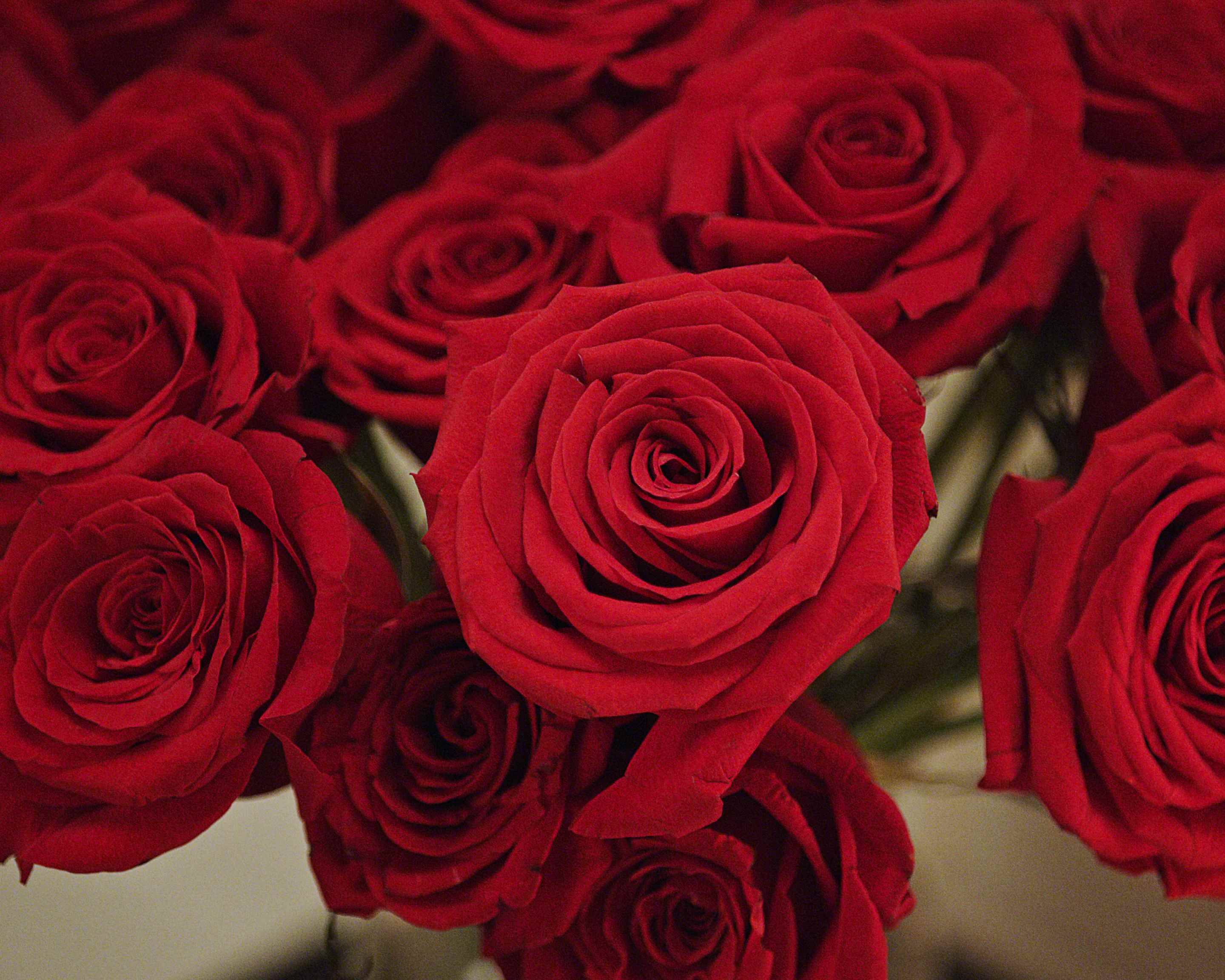 Order ProFlowers (1380 MOSS RD) Delivery Online - Uber Eats