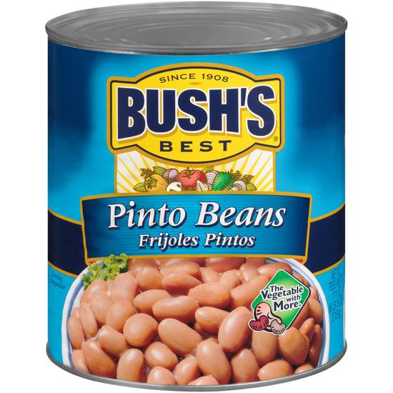 Bush’s Frijoles Pintos Pinto Beans