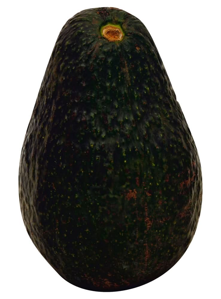 Jumbo Fresh Ripe Avocado