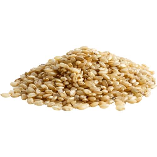 Brown Short Grain Rice