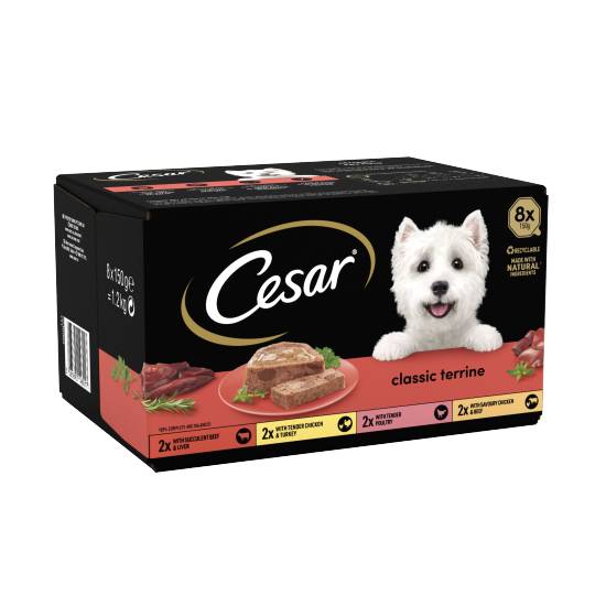 Cesar Classics Terrine Dog Food Trays Mixed in Loaf (assorted)