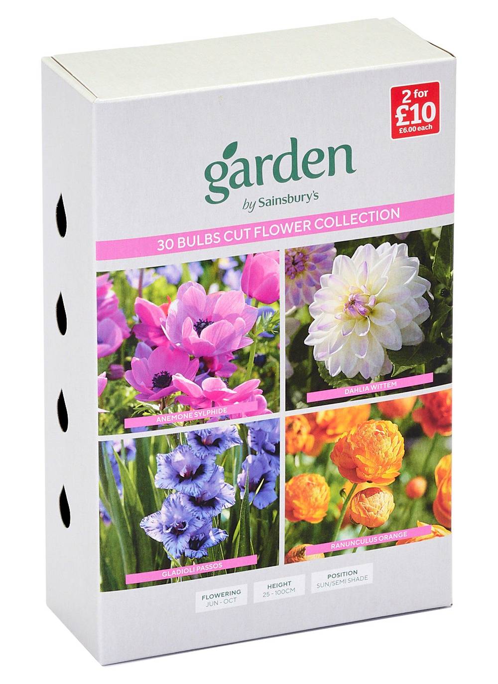 Bulbs Cut Flower Collection x30