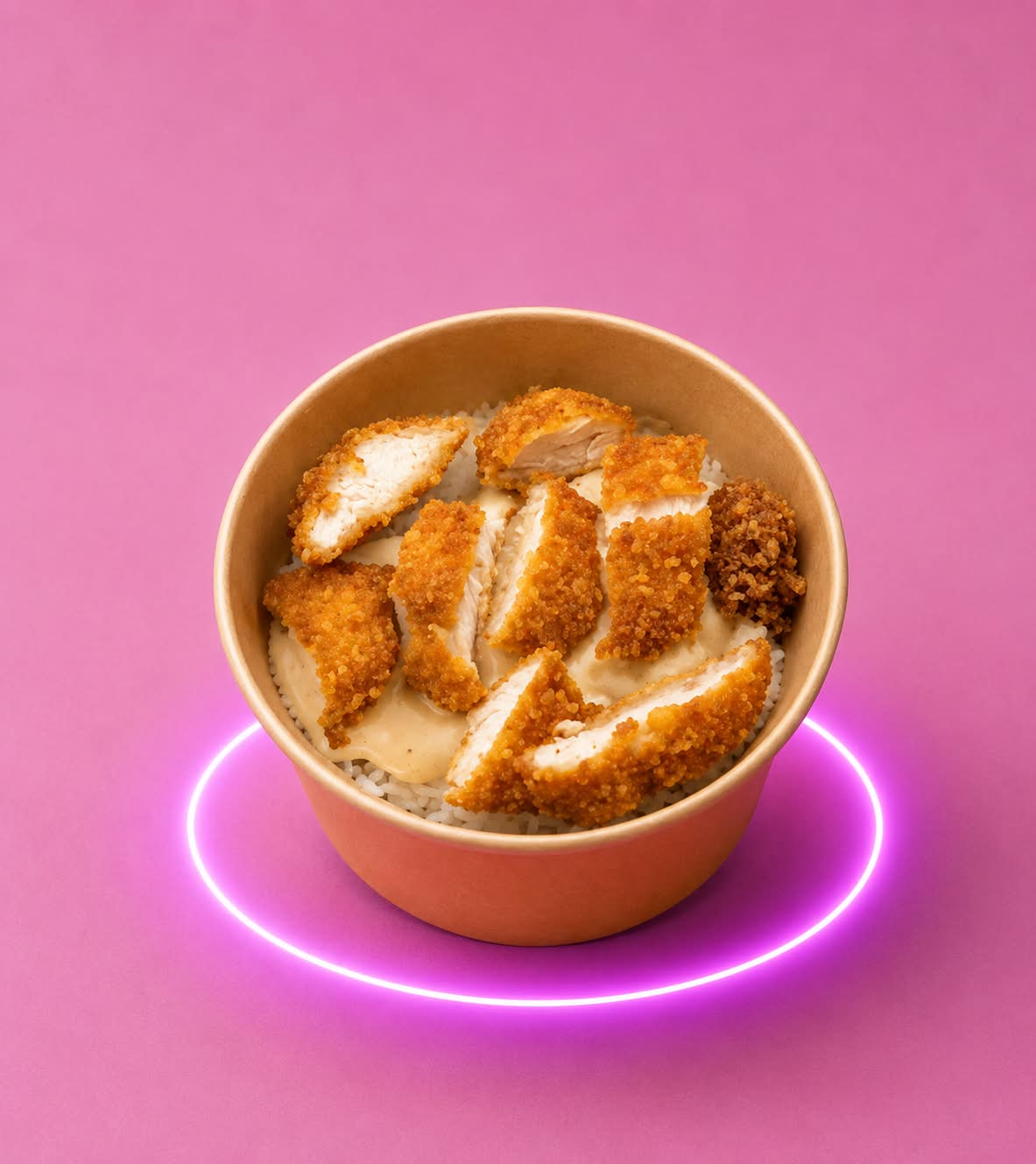 CROUSTY POULET NATURE RIZ BLANC