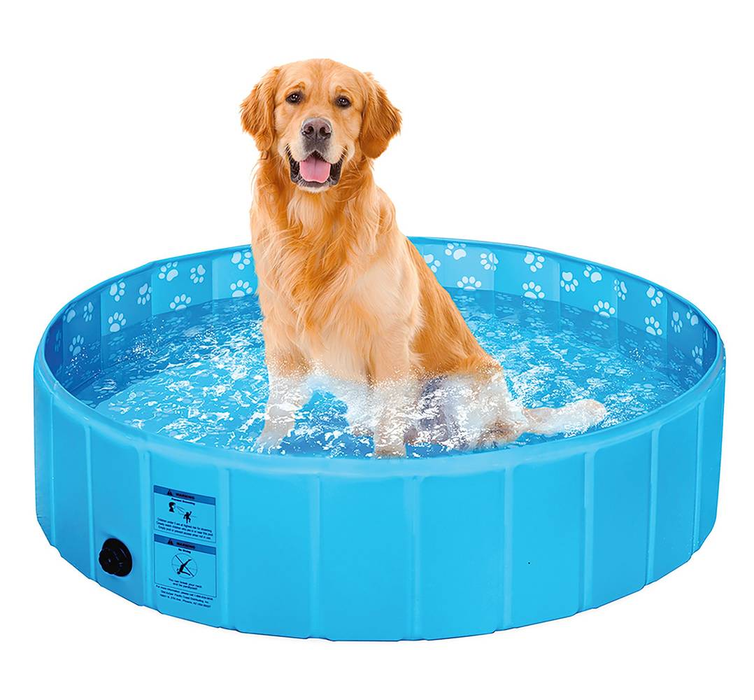 Top Paw Foldable Pool, L, Blue