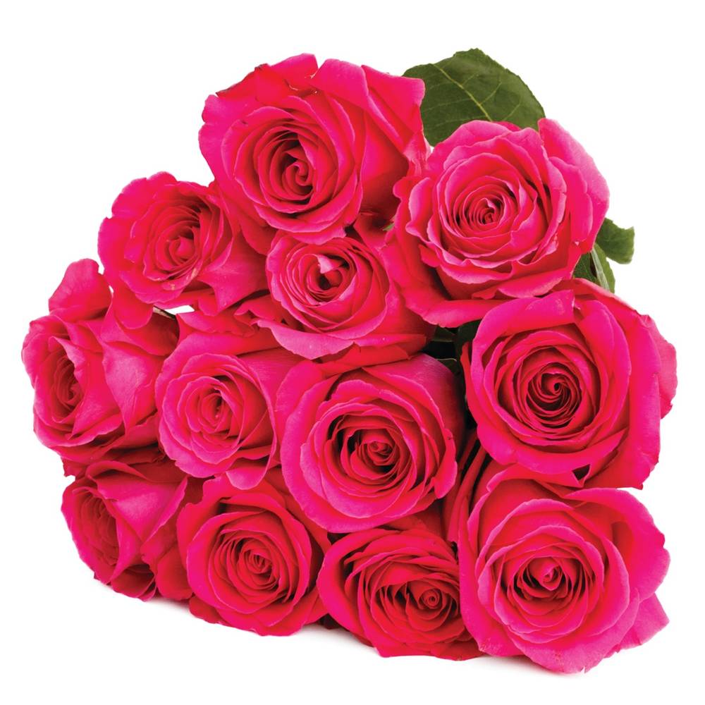 Rose Bouquet, 50 cm (12 ct)