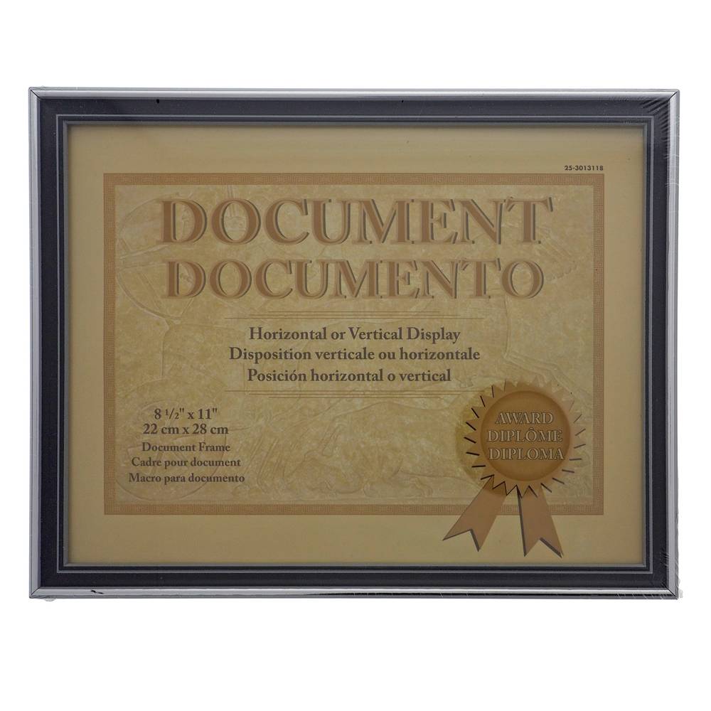 Document Frame w/ Metallic Trim (Assort)