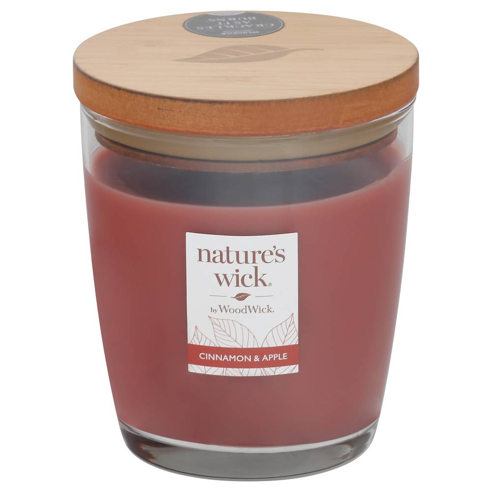 Nature's Wick Cinnamon Apple Candle (10 oz)