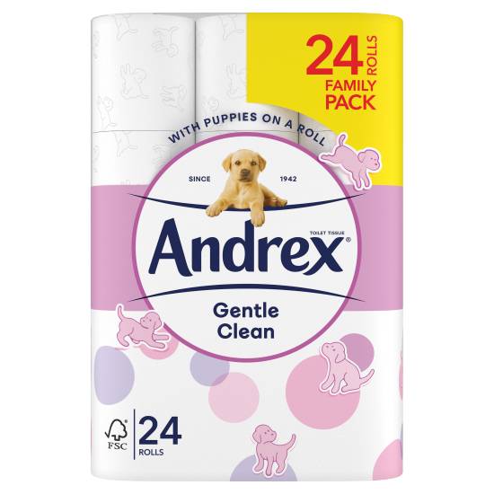 Andrex Family Soft Gentle Clean Toilet Tissue Rolls (24 pack)