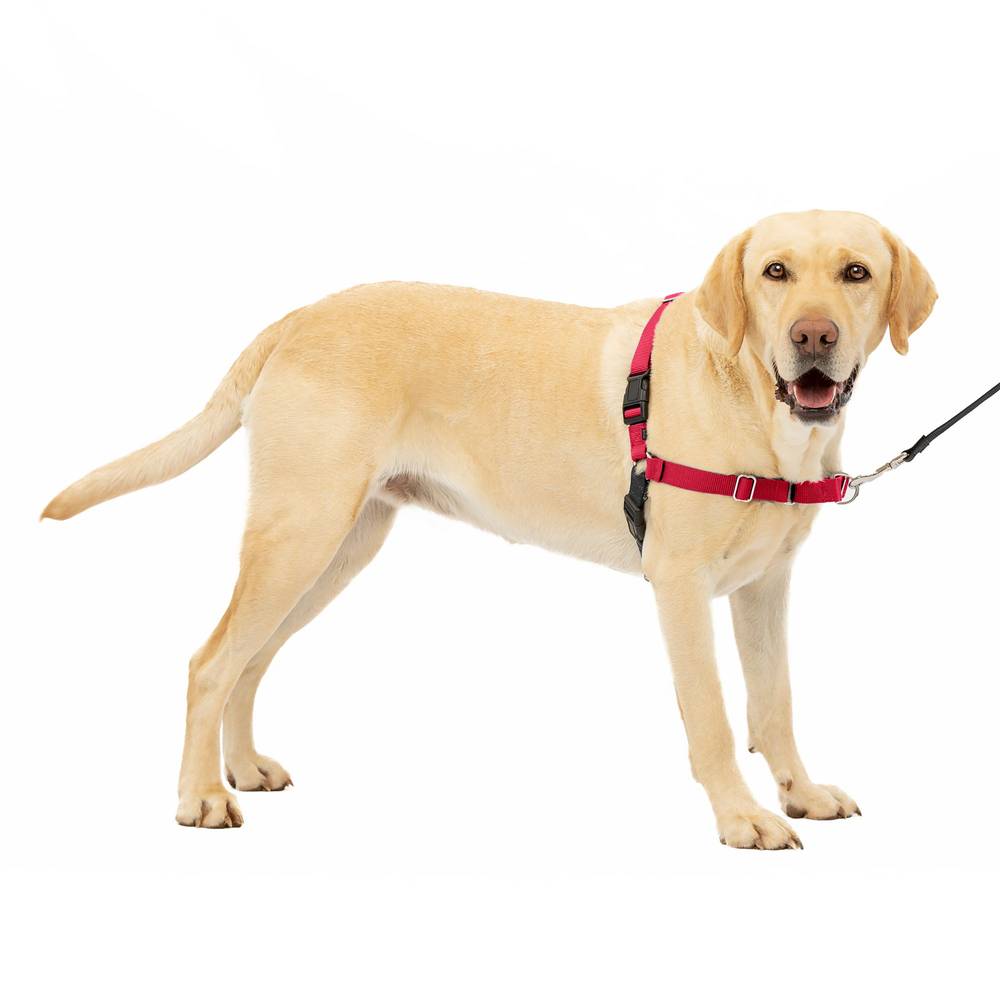 PetSafe® Easy Walk® Harness, No Pull Dog Harness (Color: Red, Size: Large)