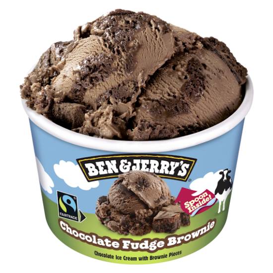 Ben & Jerrys Chocolate Fudge Brownie Ice - Cream 100ml