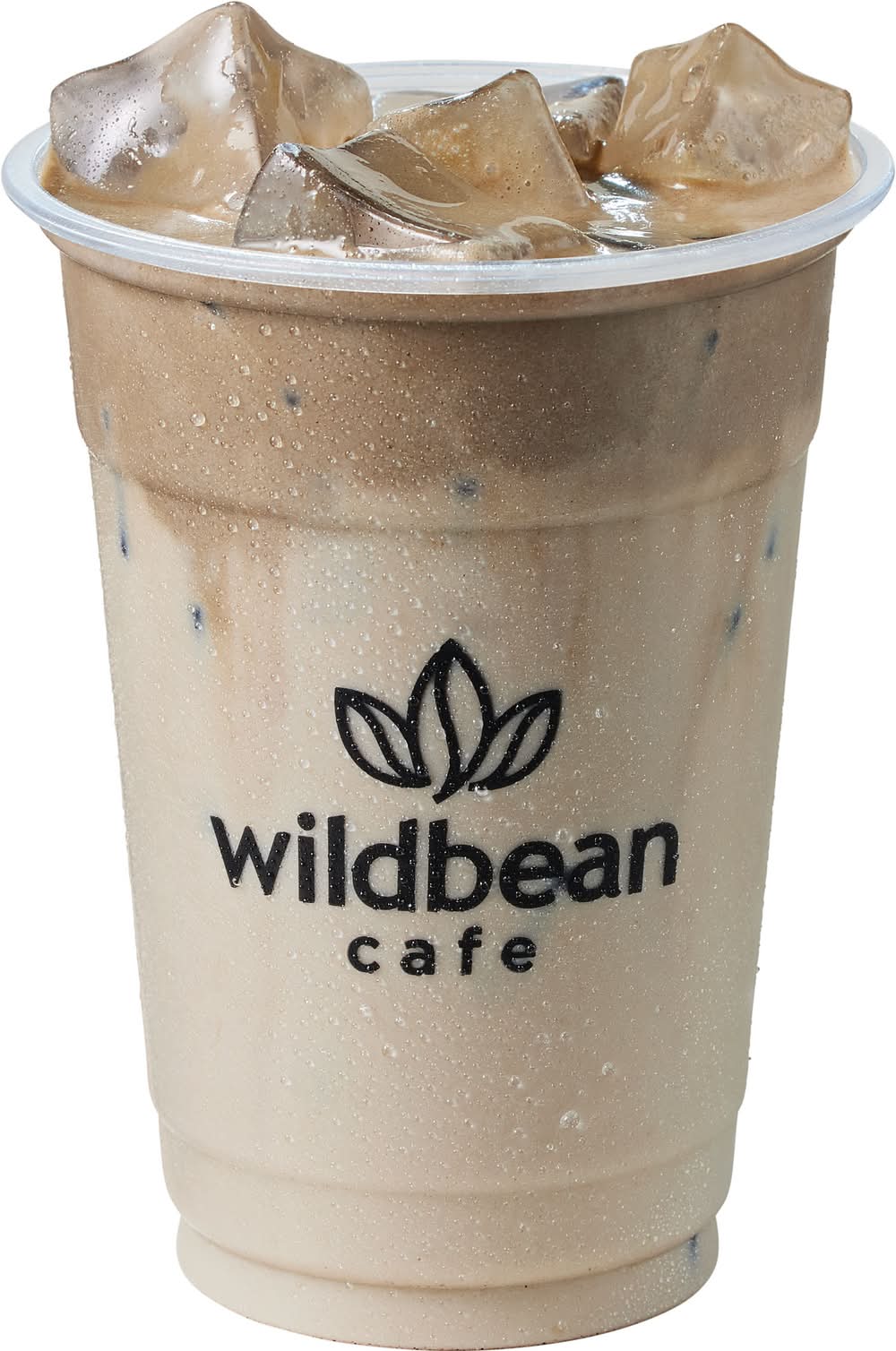 Iced Hojicha