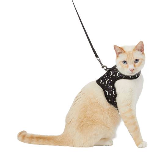 Thrills & Chills™ Glow-in-the-Dark Halloween Celestial Cat & Kitten Harness & Leash Combo (Color: Black, Size: Cat (Adult))