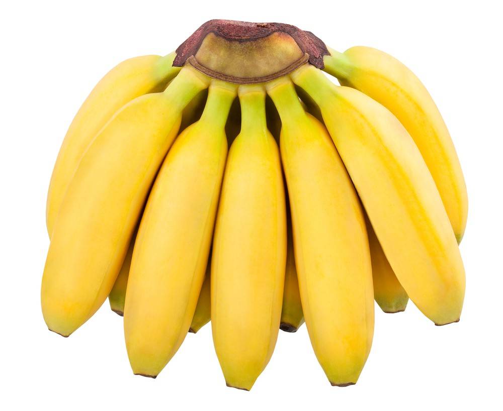 Burro Banana