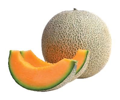 Organic Cantaloupe (Large)