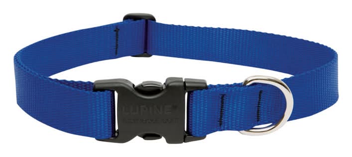 Lupinepet Basic Solids Blue Blue Nylon Dog Adjustable Collar