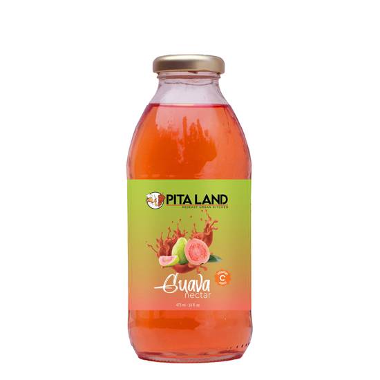 Guava Nectar (473ml)