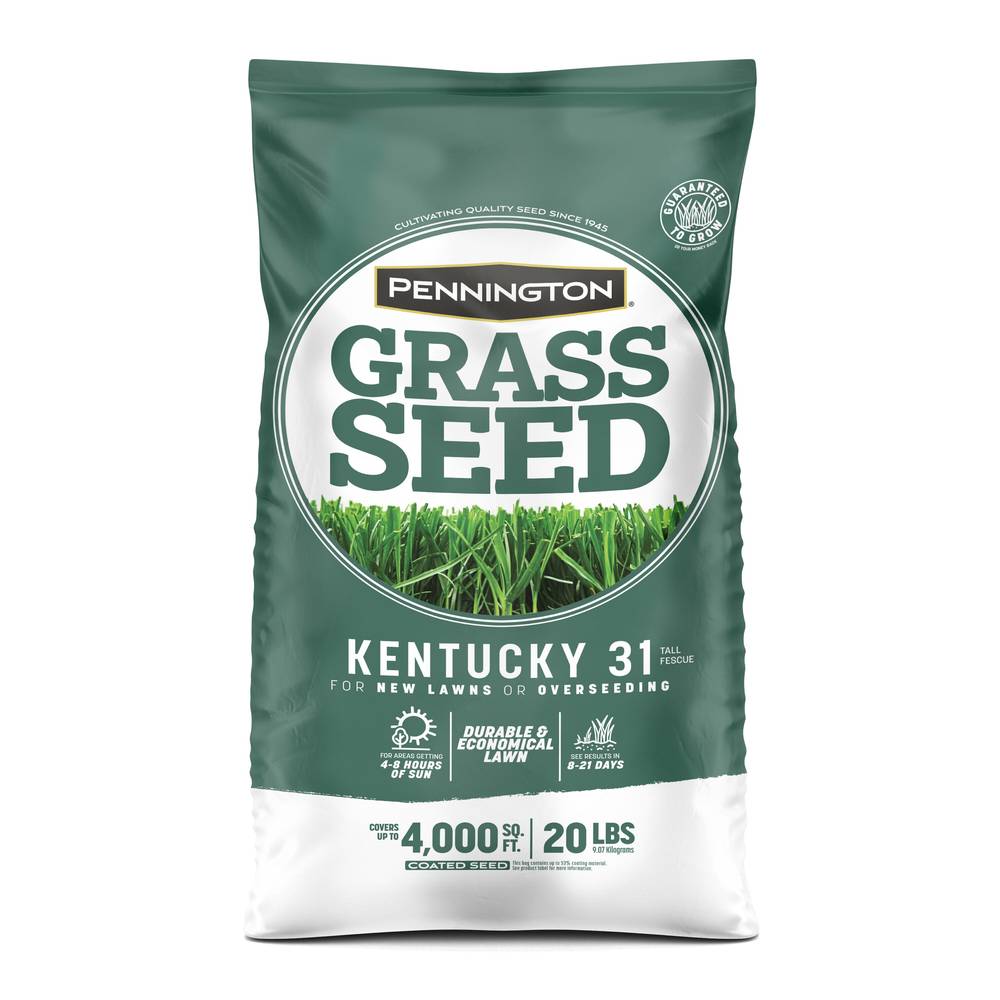 Pennington Kentucky 31 20-lb Tall Fescue Grass Seed | 2149602260