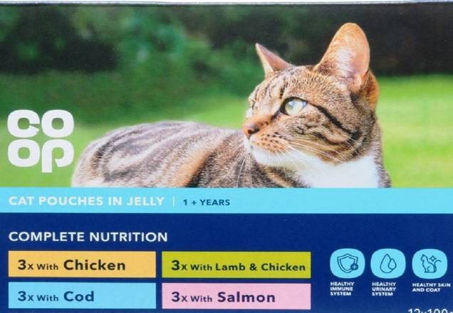 COOP CAT ASSORTED POUCH JELLY (12X100G)