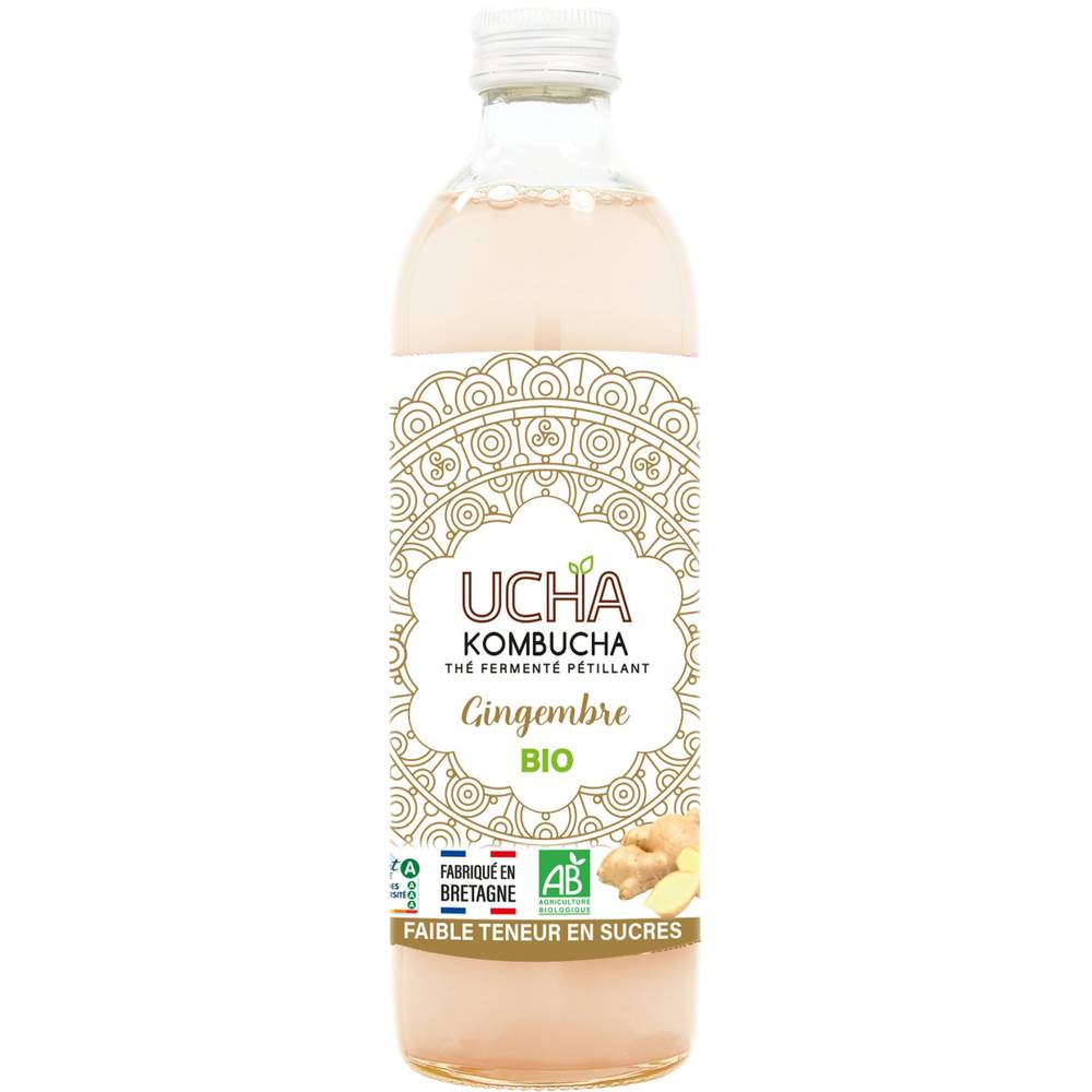 Ucha - Thé fermenté pétillant komb bio, gingembre (350ml)