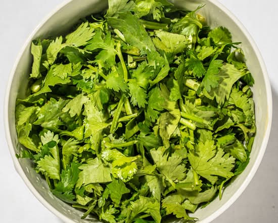 cilantro (half pint)