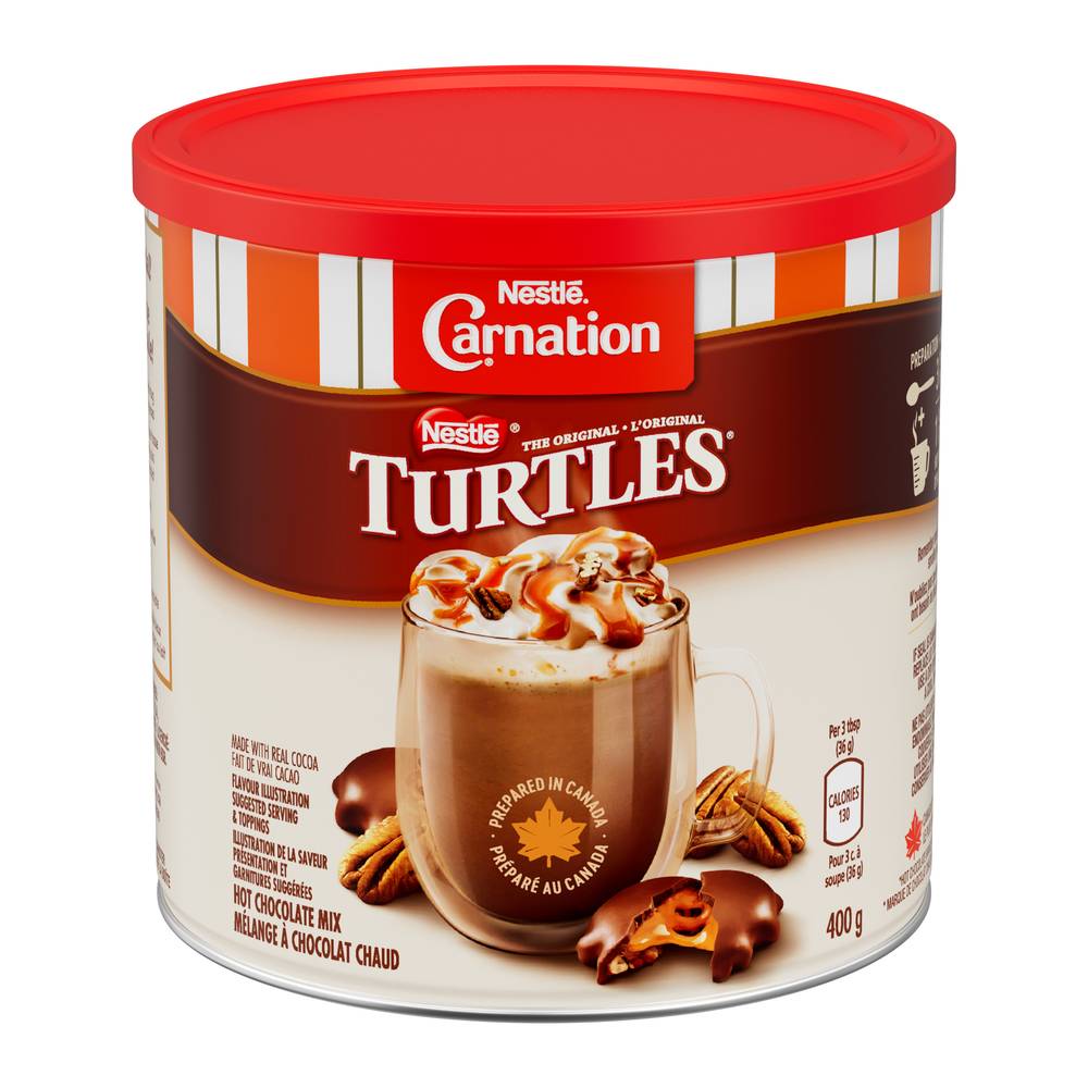 Turtles Hot Chocolate Mix (400 g)