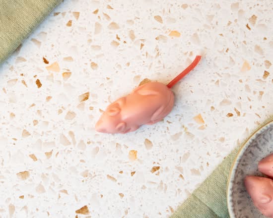 Strawberry Mouse