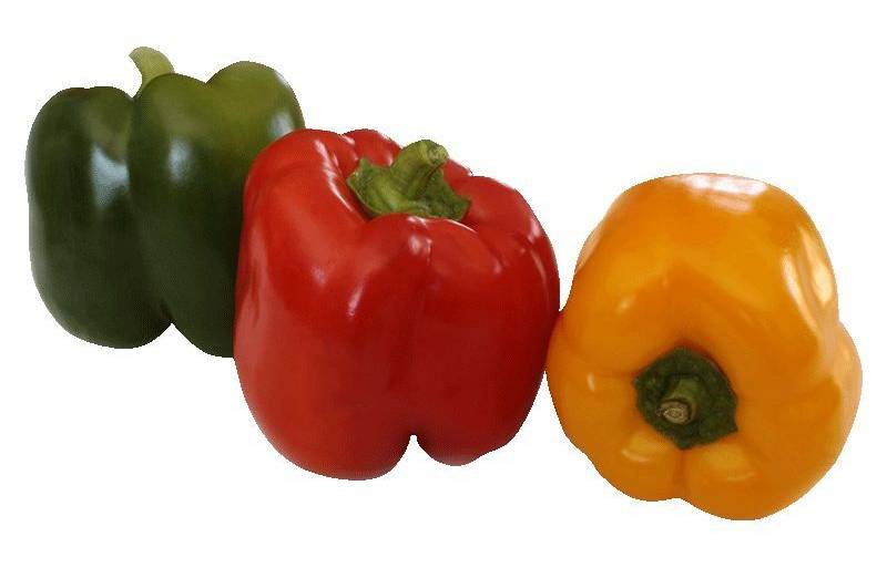 Poivrons jaune/rouge/vert 1kg (+/- 50g)