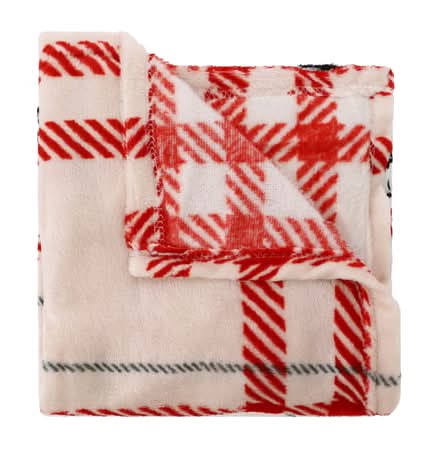 Peanuts® Silk Touch Throw 50inx60in Peanuts