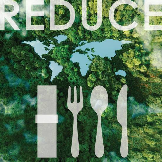 EARTH FRIENDLY