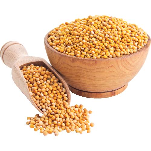 Sprouts Organic Mustard Seed (Avg. 0.0625lb)