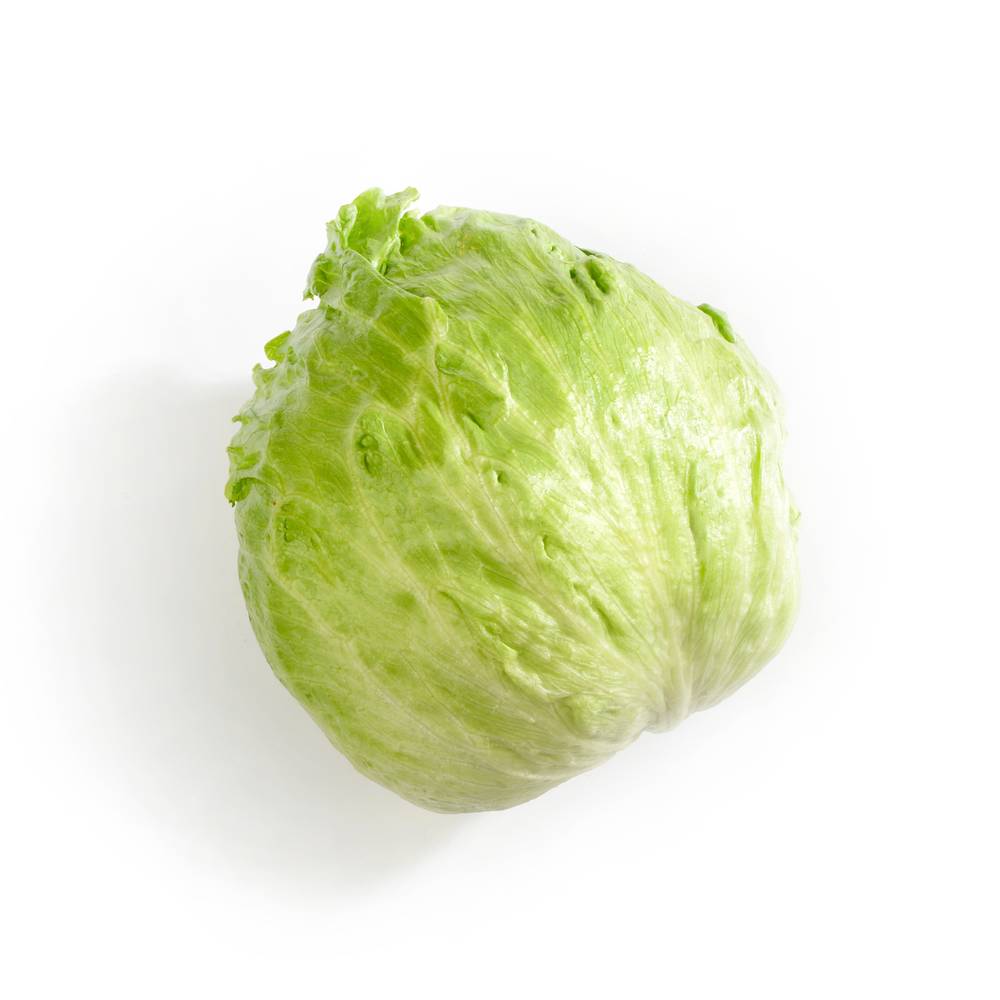 Iceberg Lettuce 1 Count