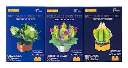 Succulent Buildable Brix Trio 3-Pack Crassula/Lobster Claw/Braunsia