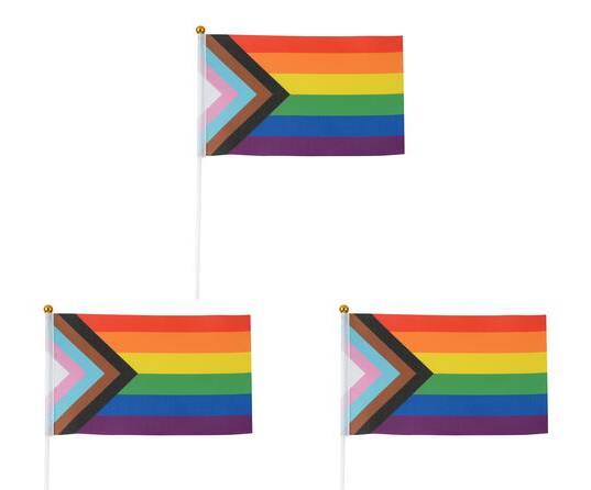 Celebrate It Mini Pride Flags, 5x8 in, Assorted (3 ct)