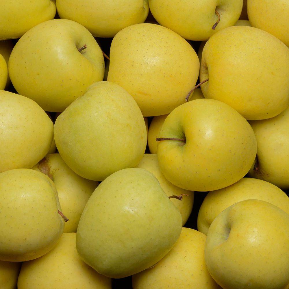 Pomme Golden Délicious,  calibre 150/180, catégorie 1, France, barquette 4 pièces