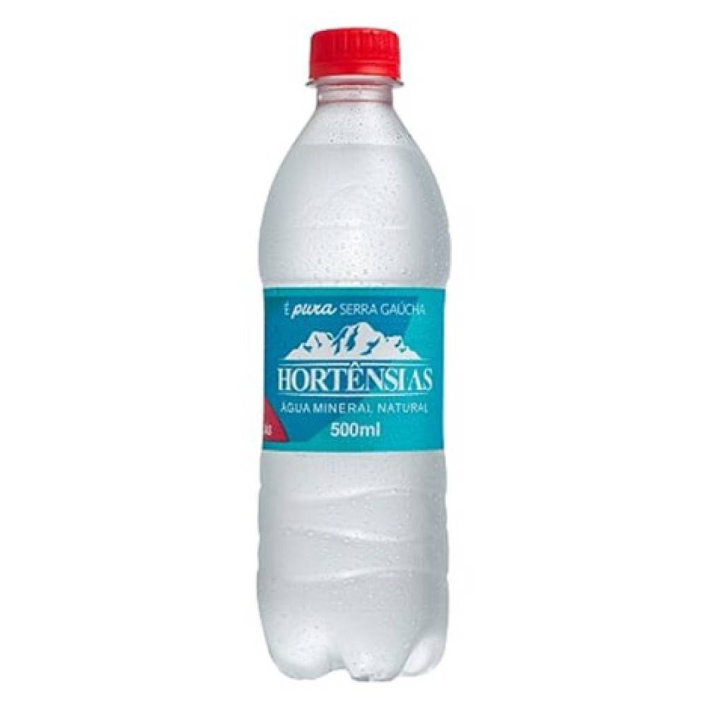 Hortênsias água mineral com gás (500ml)