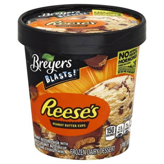 Breyers Reeses Peanut Butter Cup Pint