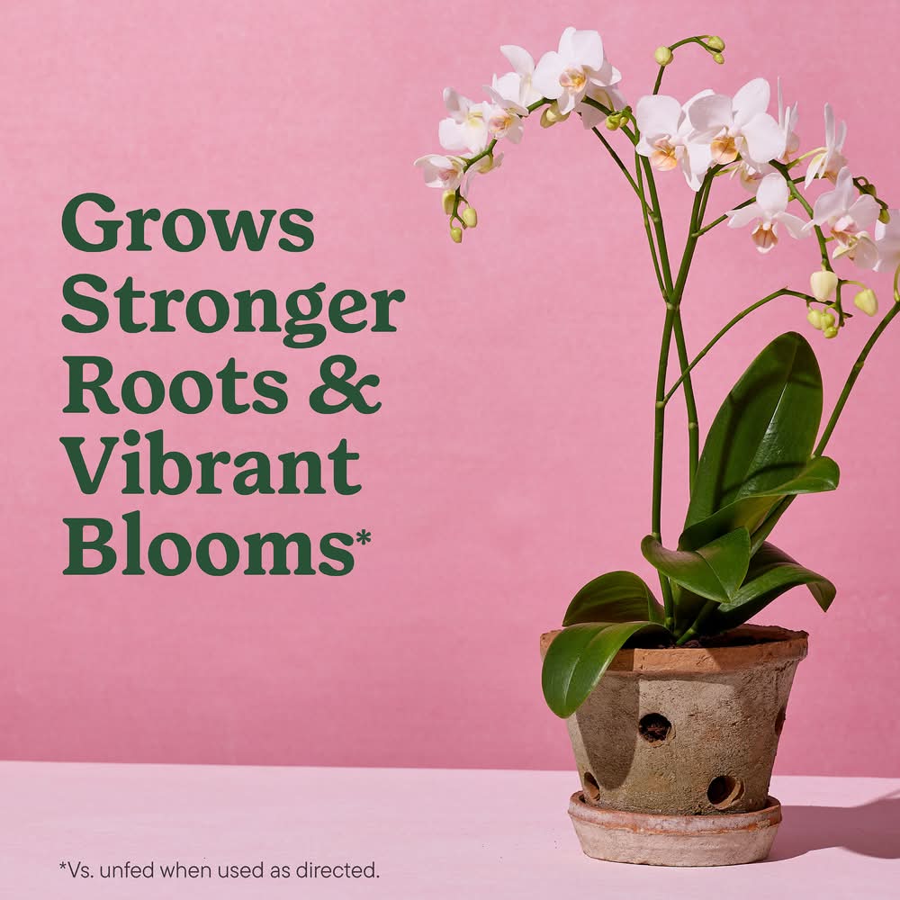 Miracle-Gro Indoor Potting Mix For Orchids | Delivery Near You | Postmates