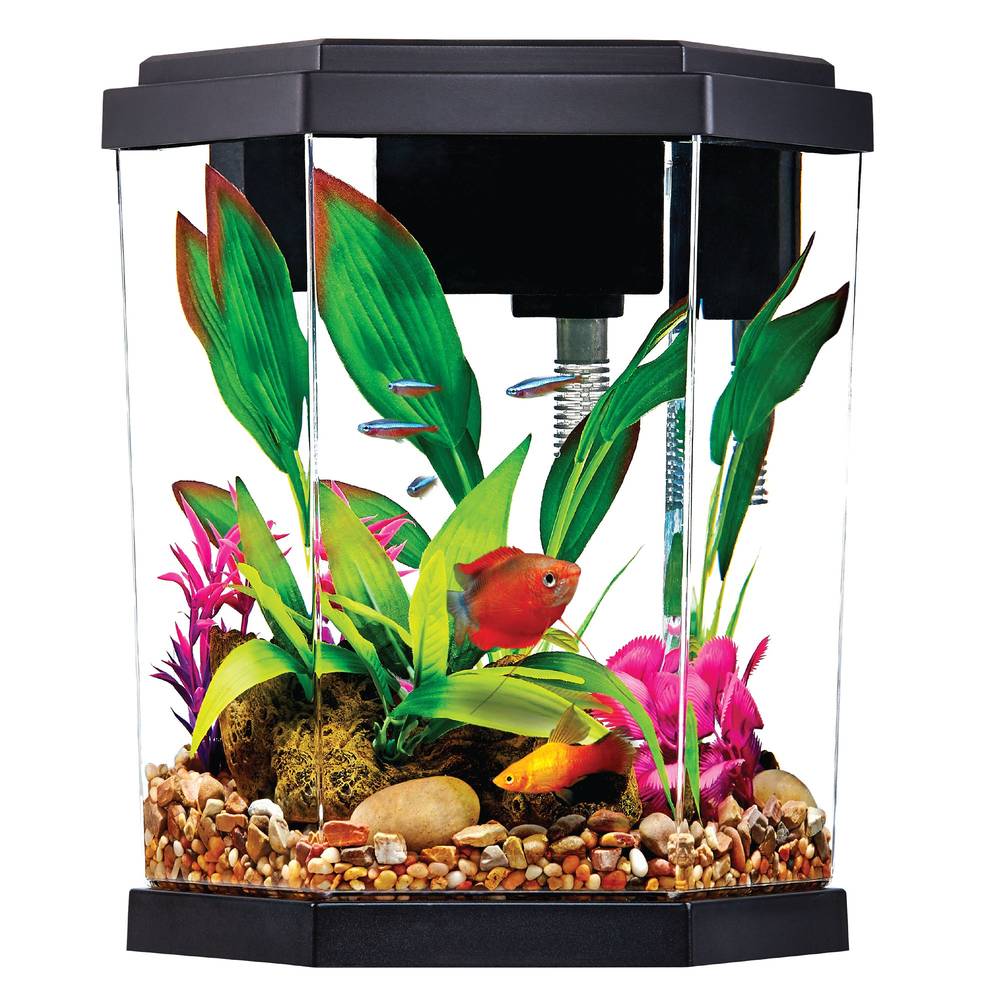 Top Fin Hexagon Aquarium, , Black