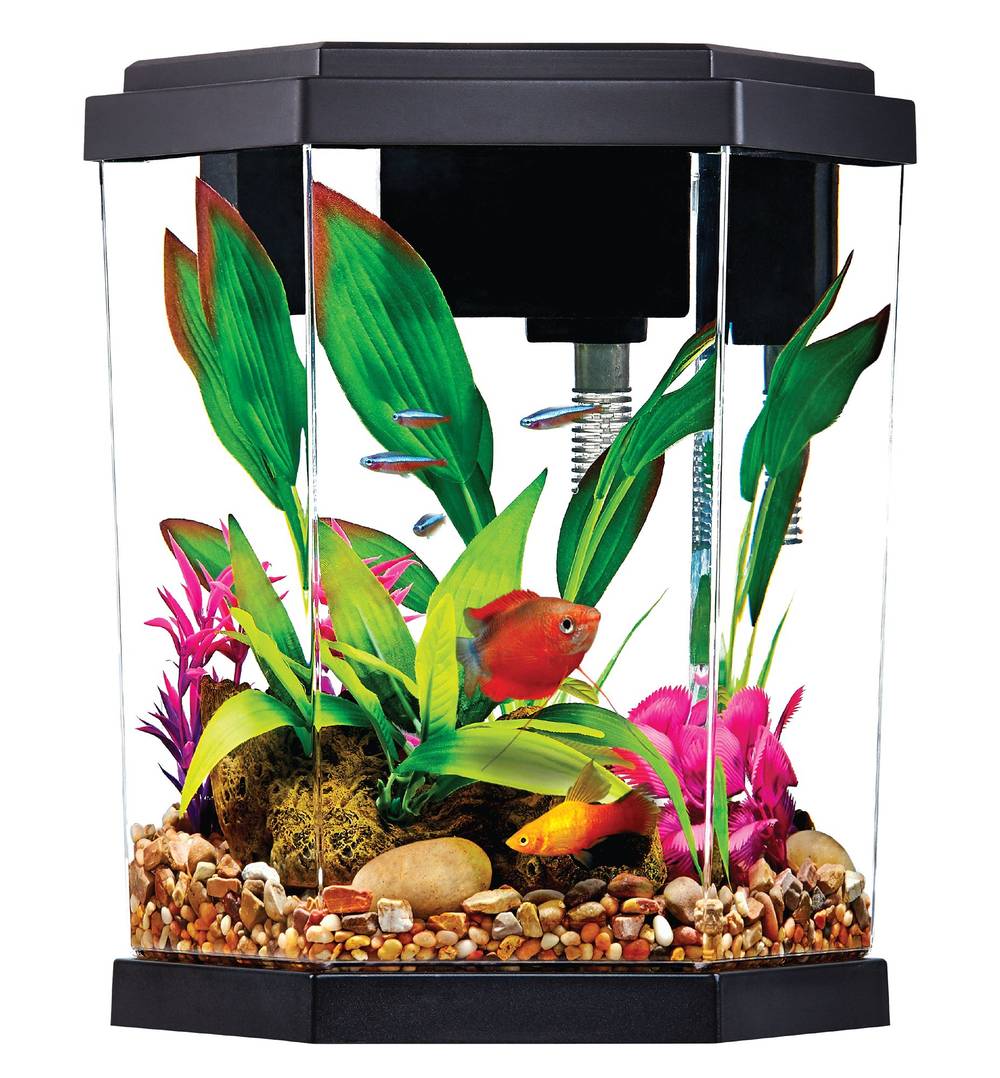 Top Fin Hexagon Aquarium