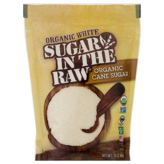 Sugar in the Raw Organic White Cane Sugar (24 oz)