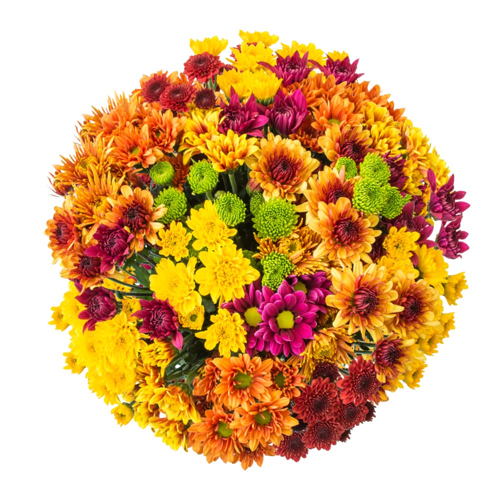 Fall Mega Mum Mixed Bouquet