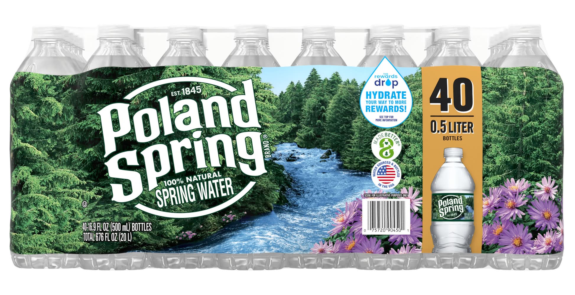 Poland Spring 100% Natural Water (40 x 16.9 fl oz)