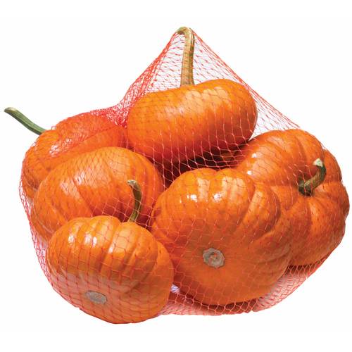 Mini 6 Piece Pumpkins