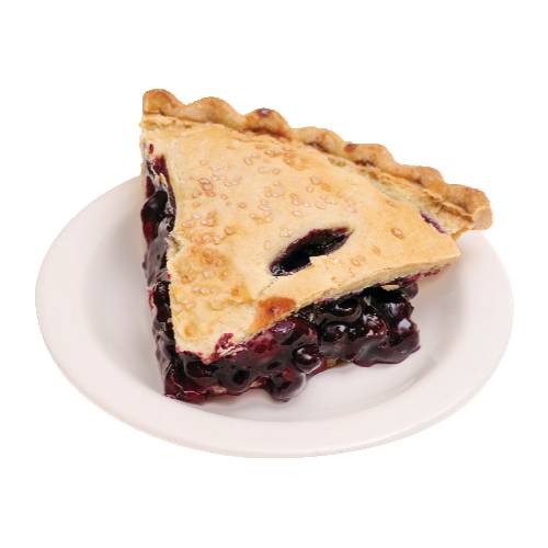 Fresh Baked Blueberry Pie No Sugar Added