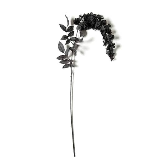 Black Wisteria Stem By Ashland